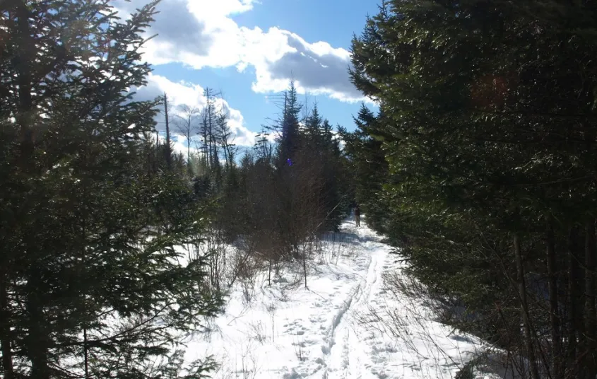 Set out in the winter and try some cold weather camping.