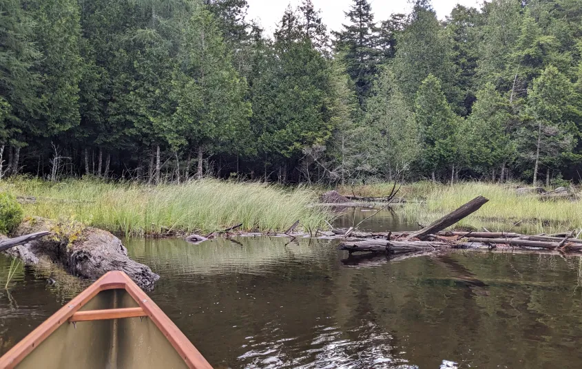 The nose of a canoe in the water