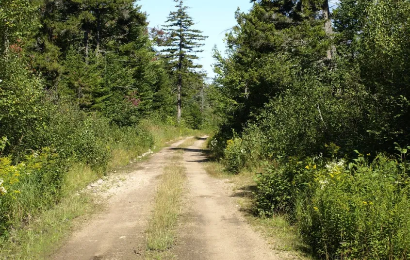 An old dirt road