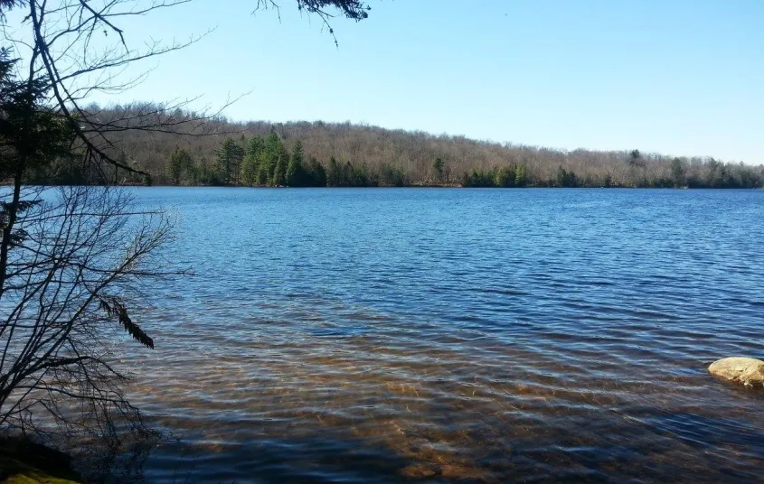 A lakeside view