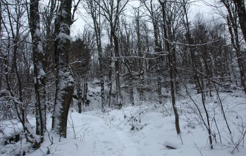 The winter trail to Bear Mountain.