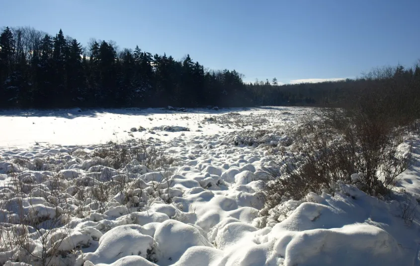 The frozen Oswegatchie River.