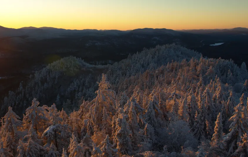 Bring headlamps for dawn and dusk photos.