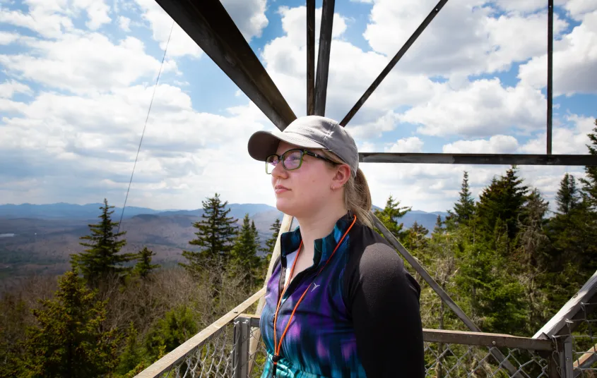 The view start at the summit and go all the way up.