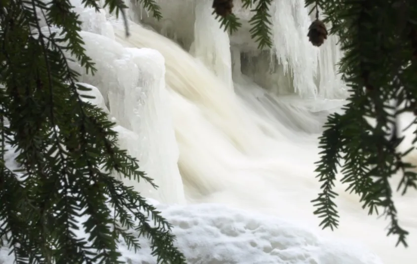 Bring a zoom lens to get the best views.