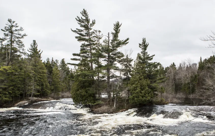 The spring melt makes for spectacular whitewater action.