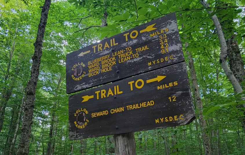 A wooden trail sign for the Blueberry lean-to