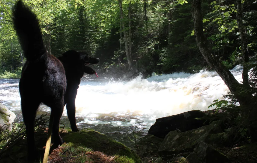 Pa Falls