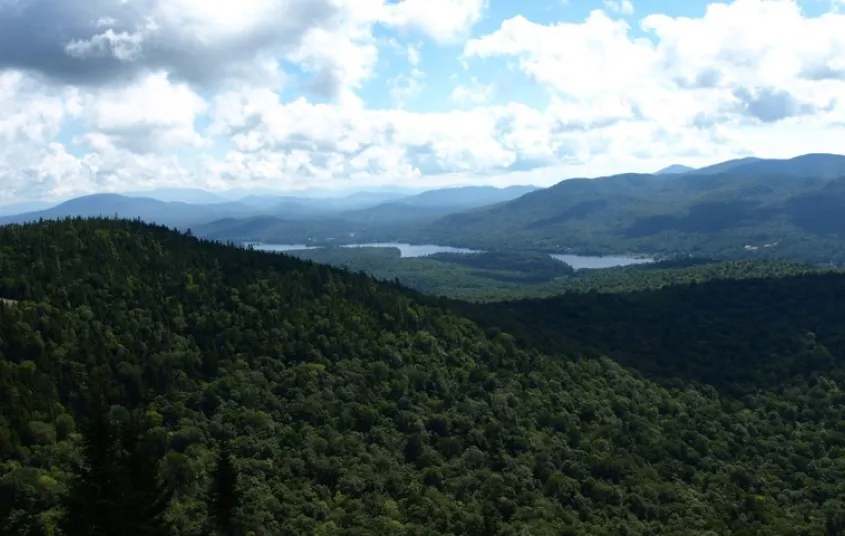The mountain is in a lush lake area.