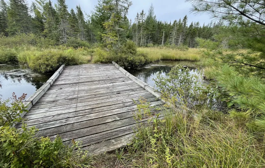 A map of a hiking trail and ponds.
