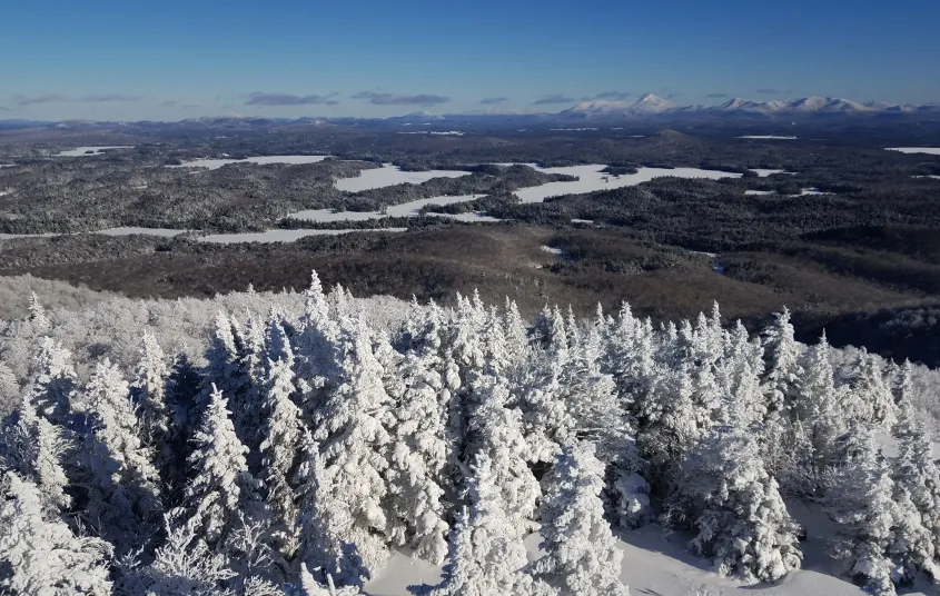 View from St Regis fire tower