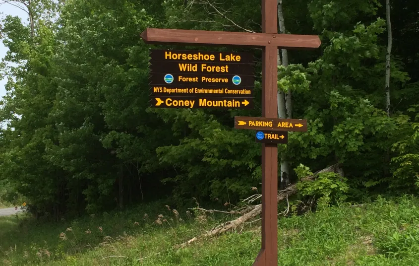 Even the dog will want an Instagram account with this kind of selfie