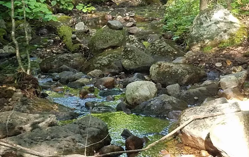 Fish Pond Truck Trail is a pond wonderland.