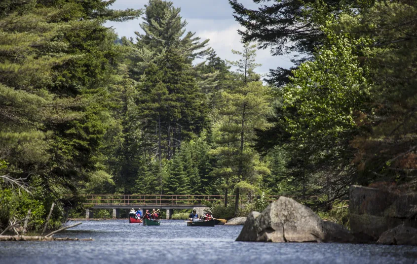 The impressive scenery along the route continues into the pond.