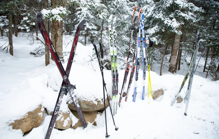 This is an easy trek in winter.