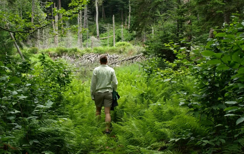 Vary the distance along this new hike.