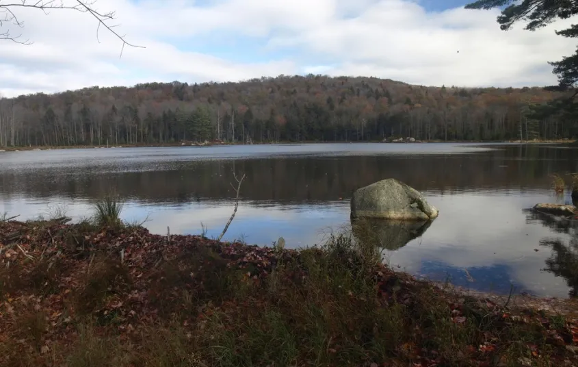 A reflecting pond with a large rock in it