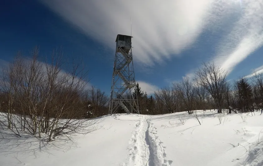 Enlist the youngest hikers to look for trail markers.