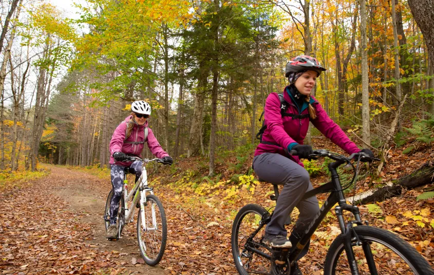 This mountain biking is a sweet ride.