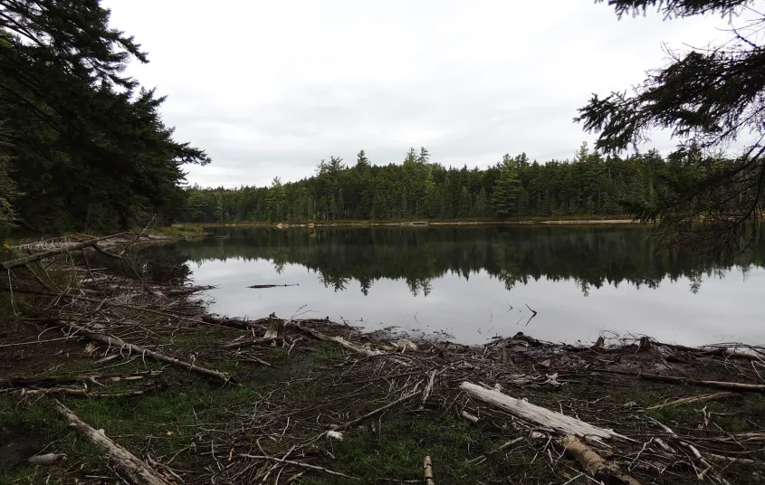 A trail circles the lake for brook trout fishing from the shore.
