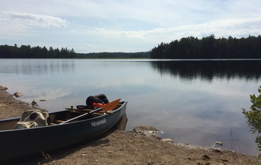 There's a number of ways to access this wildlife area for paddling and birding.