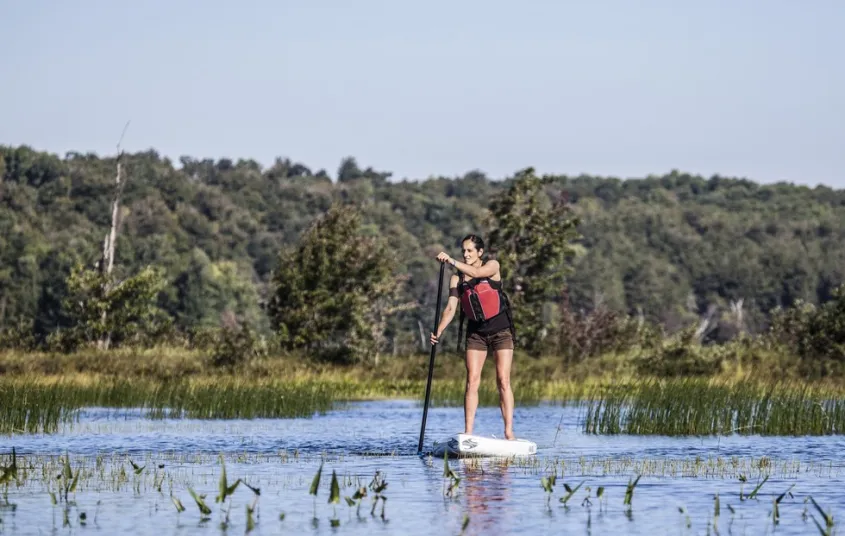 The many wetlands on this paddle are easily explored with the right watercraft.