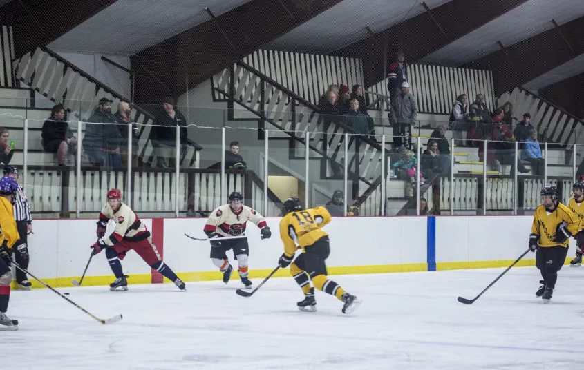 Hockey players on the ice