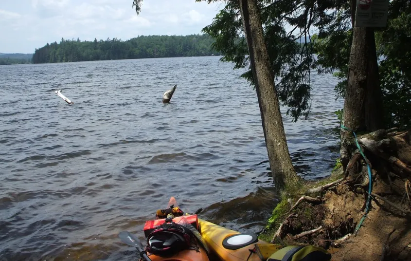 A kayak on the bank