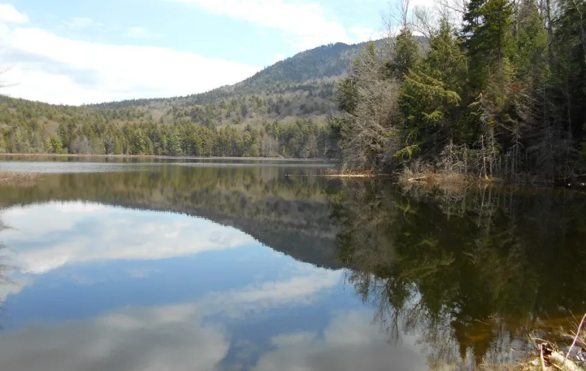 Scenic shoreline of Stony Creek Pond.