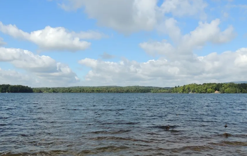 A large pond during the day