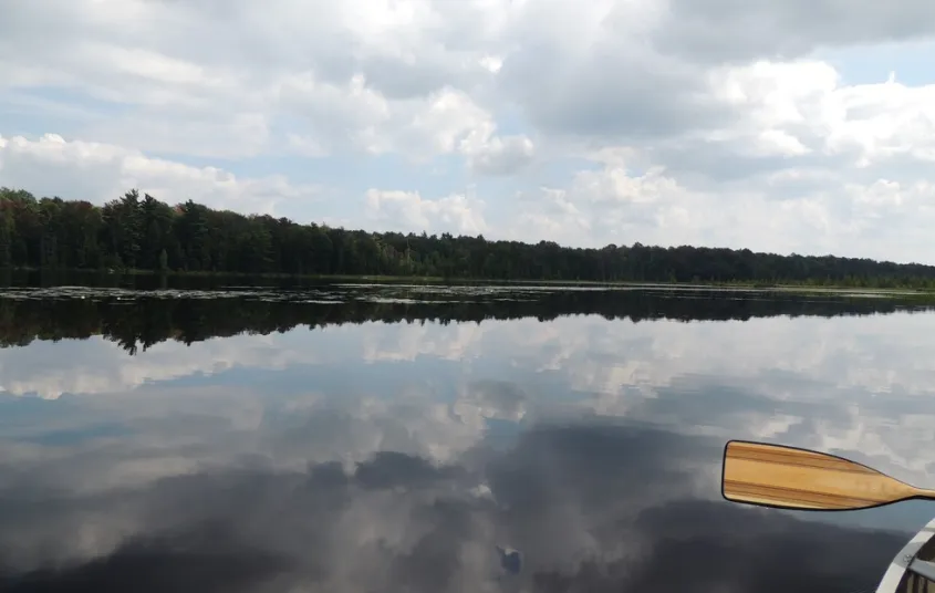 Paddling on a calm pond