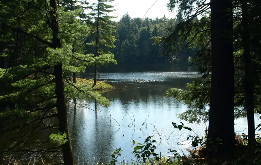 Horseshoe Pond is a calm flatwater paddle.