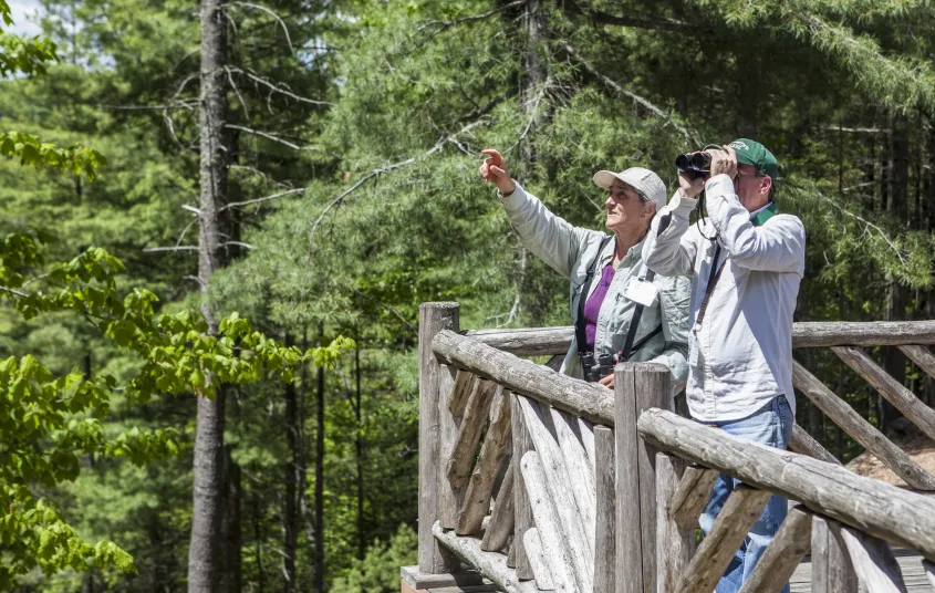 A couple birders look through binoculars and point