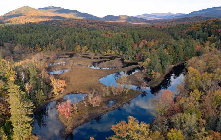 Aerial view of a winding river