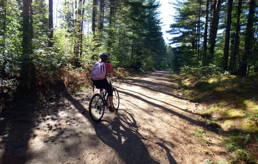 A gravel biker riding down the road