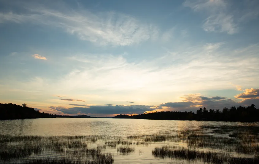 There are wetlands to paddle near on Lake Lila.