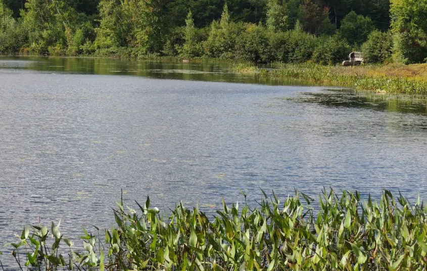 A variety of wetlands and different habitats to photograph wildlife.