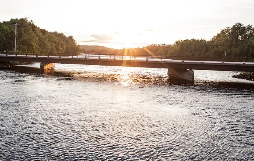 The bridge over Piercefield Flow.