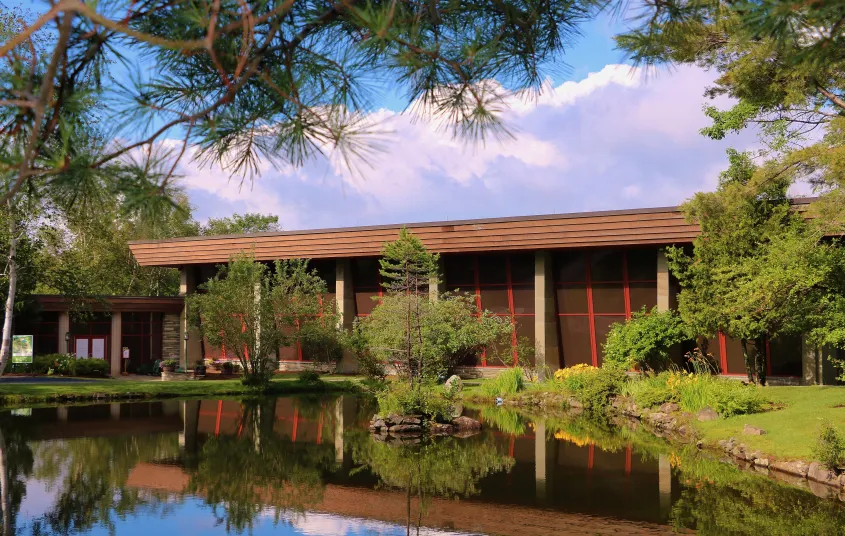  Pond and trees outside the museum