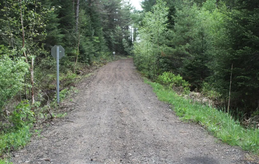 Dirt road leading to the rustic retreat at Rockledge Cabins & Retreats.