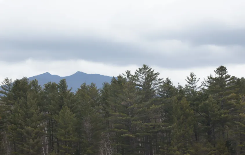 Mountain views.