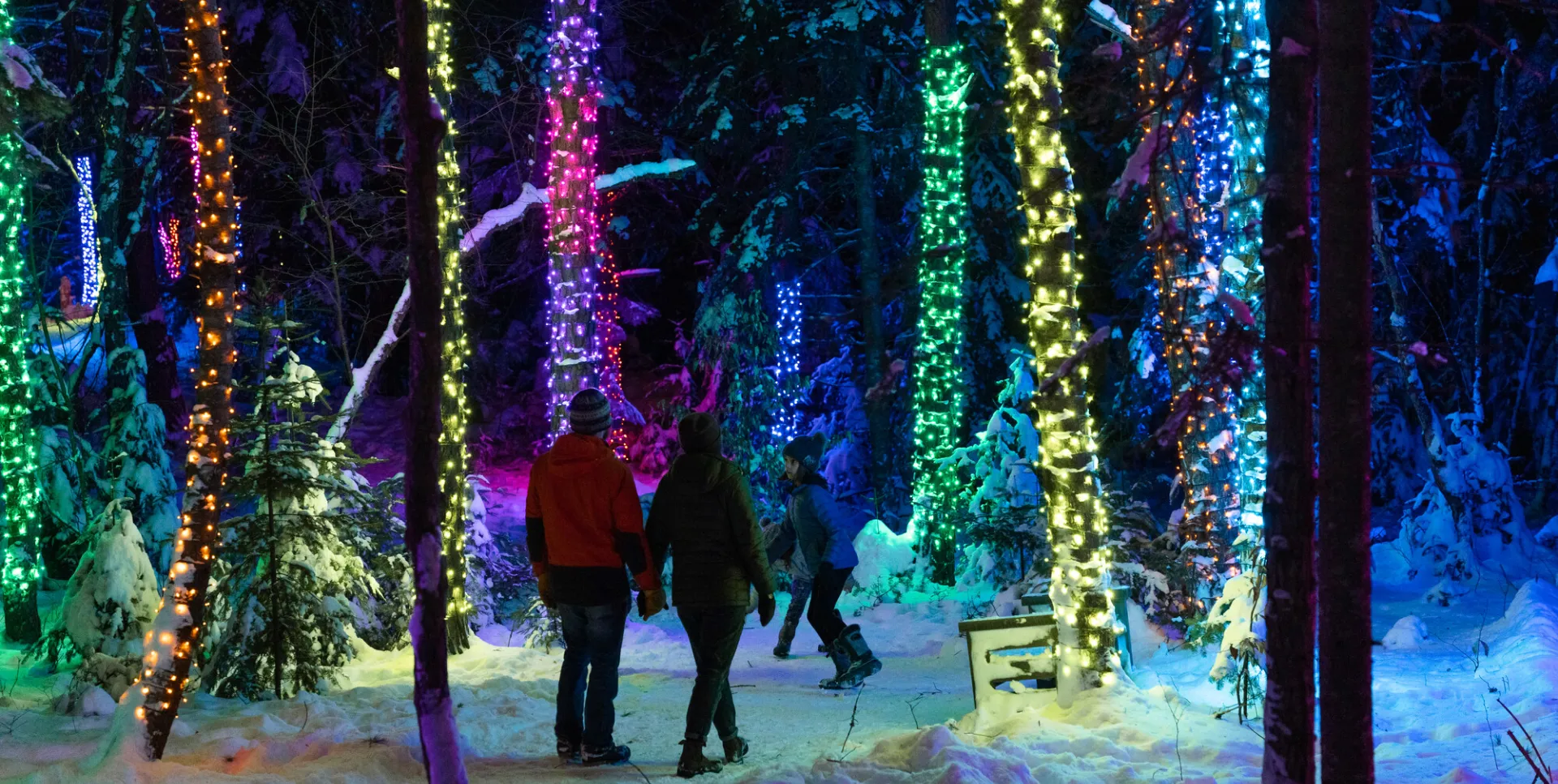 Wild Lights + Tupper Lake Holiday Stroll | Tupper Lake