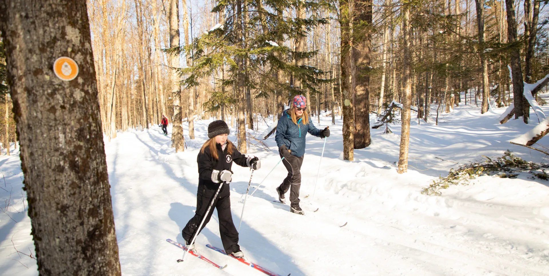 James C. Frenette Sr. Recreational Trails — hero image