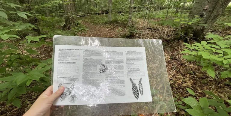 A laminated interpretive brochure for a nature trail.