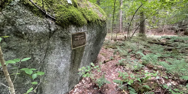 A metal plaque on a mossy rock.