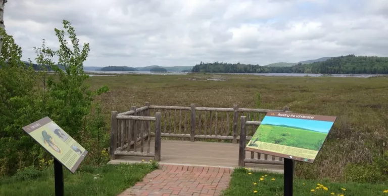 There are two wetland viewing areas along the Route 30 causeway.