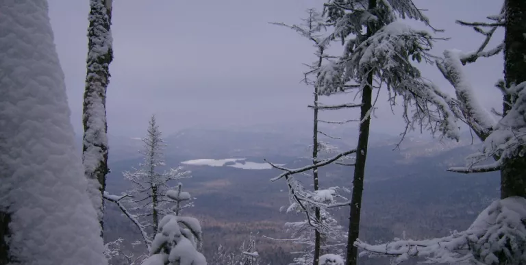 Seymour Mountain in winter from the summit.