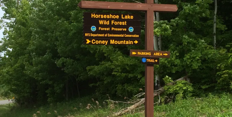 Look for the distinctive DEC signs to find parking and trailheads.