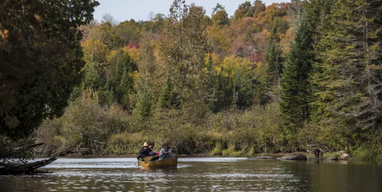 Paddle the Raquette River as part of Carry Falls Reservoir.