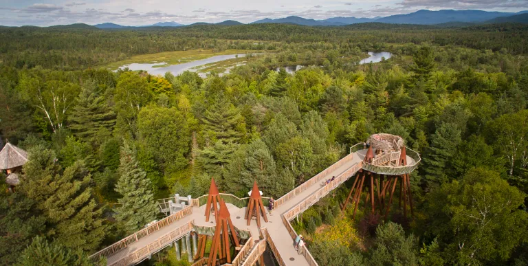 Aerial view of the portion of The Wild Walk&#44; where people walk along the treetops of the Adirondack forest
